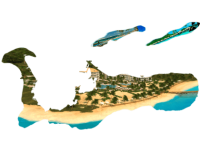 Казино на Кайманах - Обзор казино, острова на карте, фото и отзывы